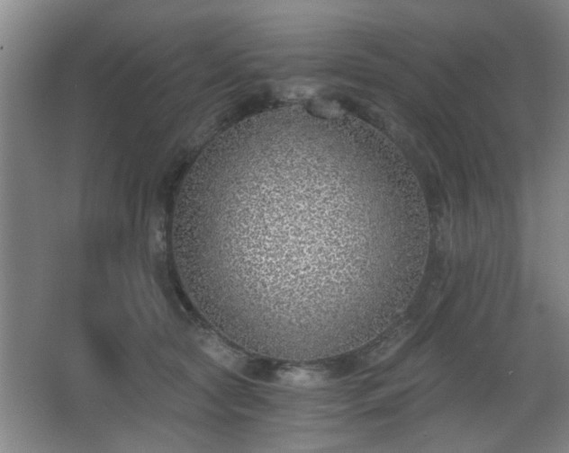 X0000068300561200604241340