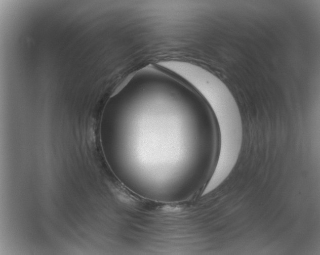 X0000068300570200604241340