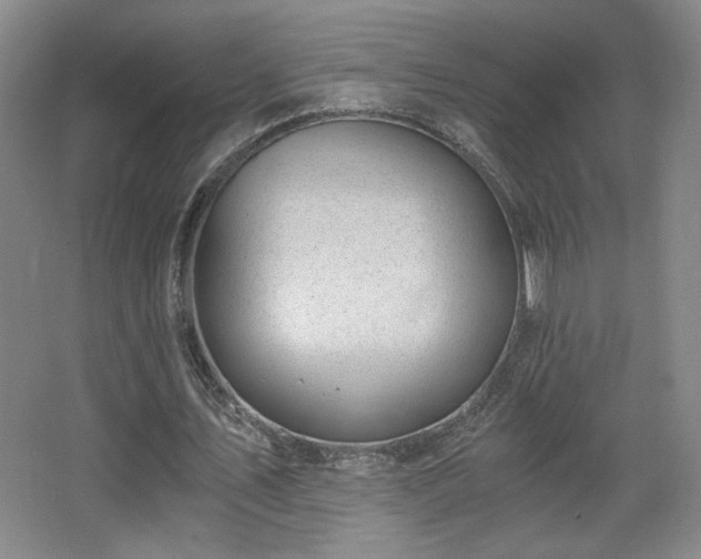 X0000068300579200604241339