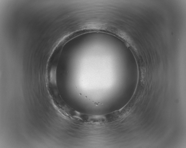 X0000068300580200604241339