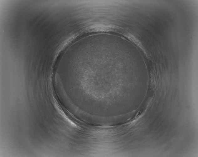 X0000068300581200604241339
