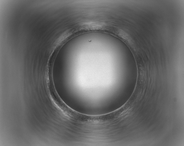 X0000068300582200604241339