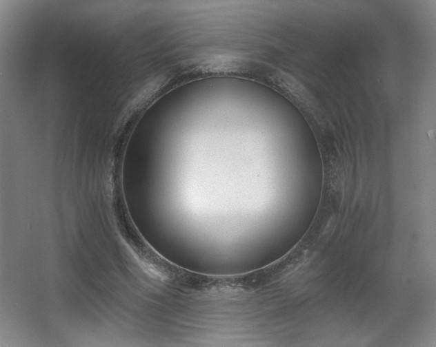 X0000068300586200604241339