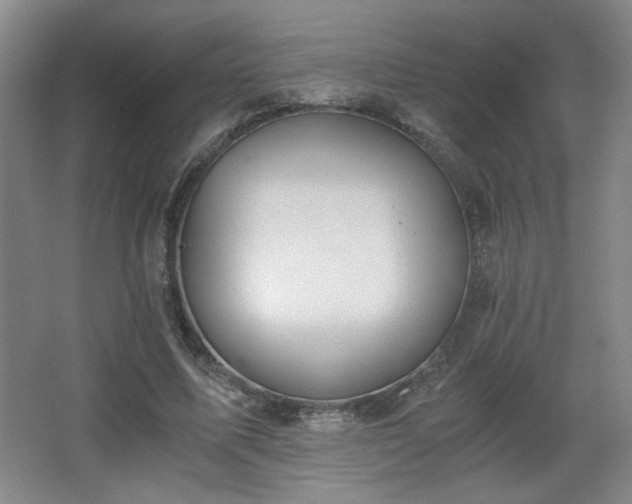 X0000068300587200604241339