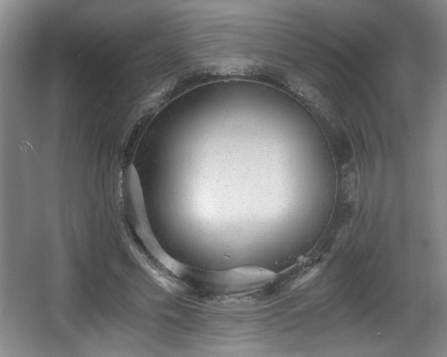 X0000068300589200604241339