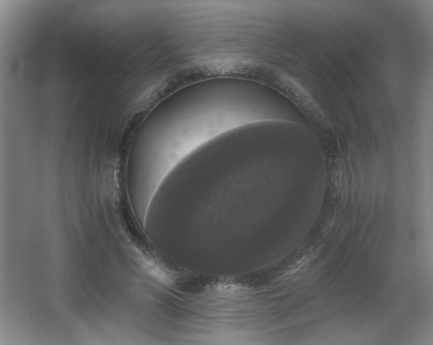 X0000068300590200604241339