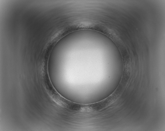 X0000068300591200604241339