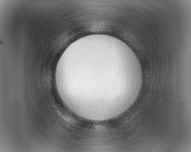 X0000068300592200604241339