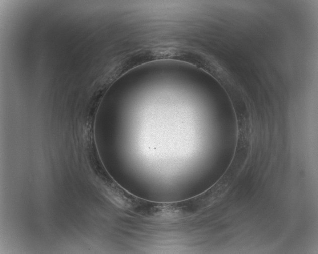 X0000068300601200604241339