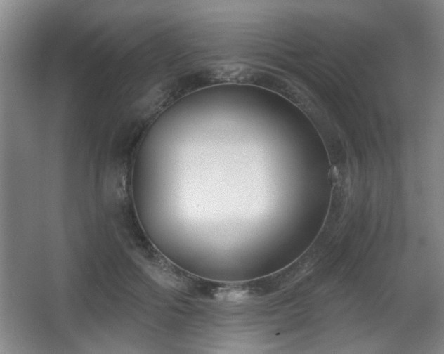 X0000068300602200604241339