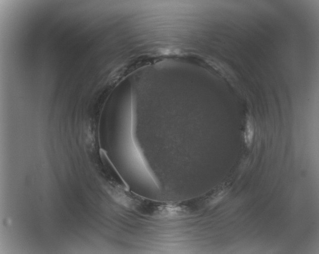 X0000068300607200604241339