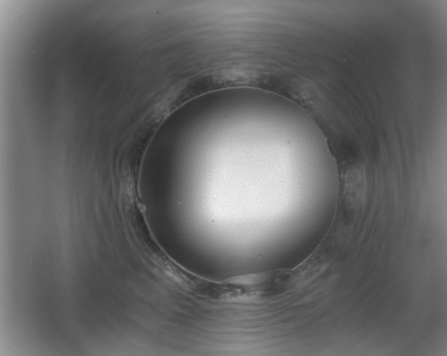 X0000068300617200604241339