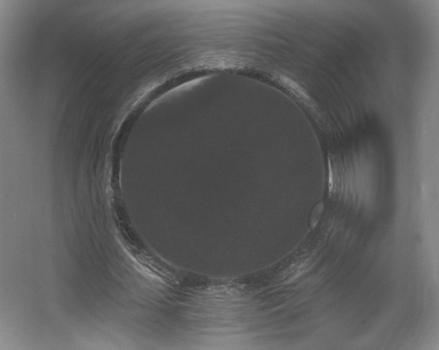 X0000068300627200604241338