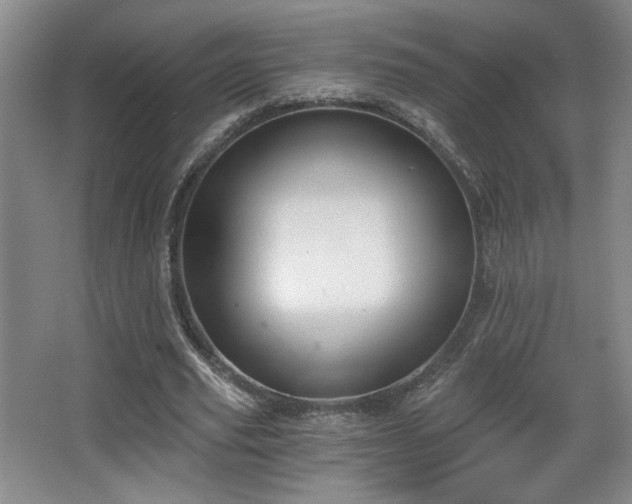 X0000068300629200604241338
