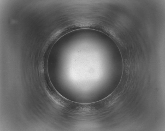 X0000068300631200604241338