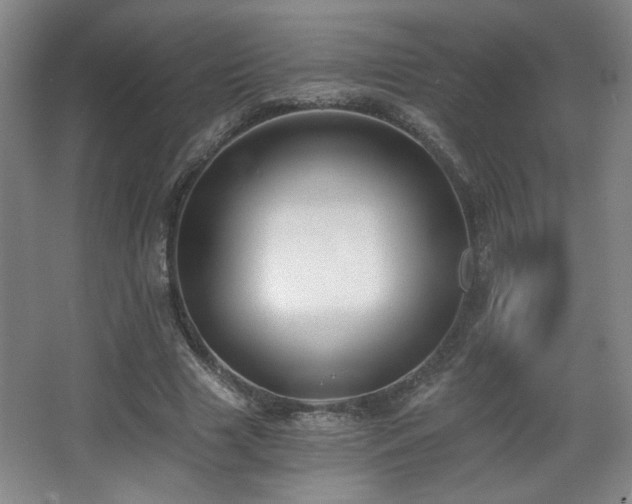 X0000068300633200604241338