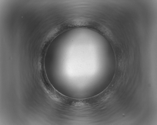 X0000068300635200604241338