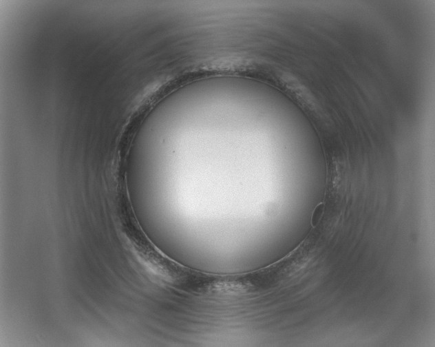 X0000068300636200604241338