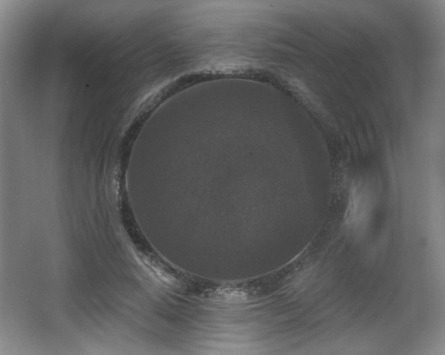 X0000068300640200604241338