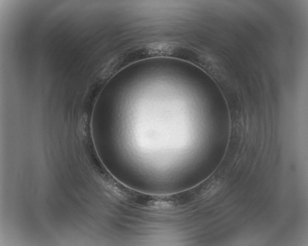 X0000068300649200604241338