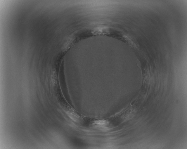X0000068300659200604241338