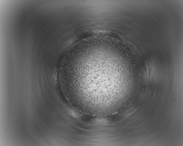 X0000068300668200604241338