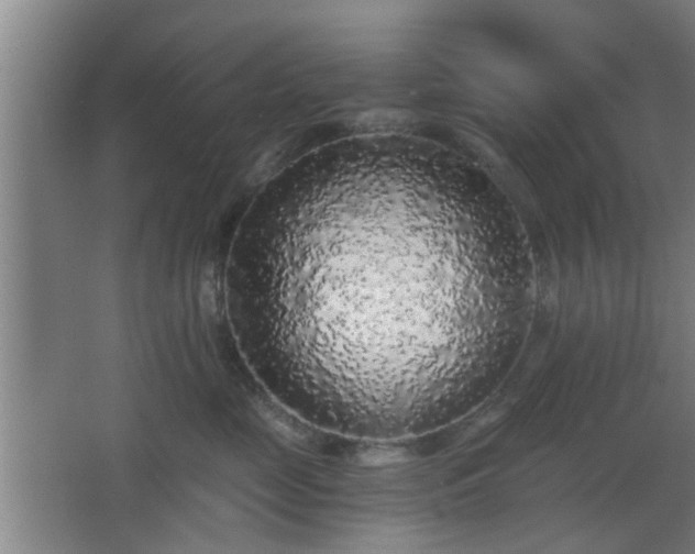 X0000068300669200604241338