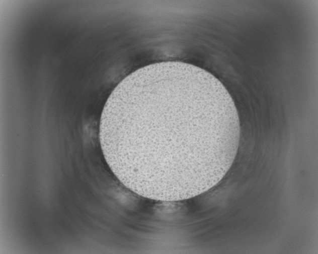 X0000068300672200604241338