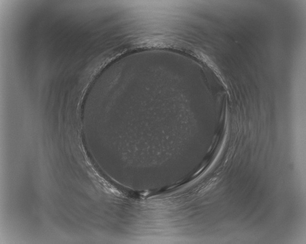 X0000068300673200604241338