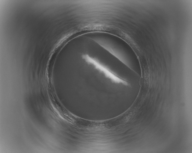 X0000068300674200604241338