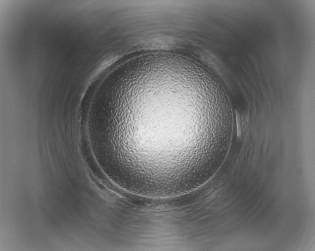 X0000068300675200604241338