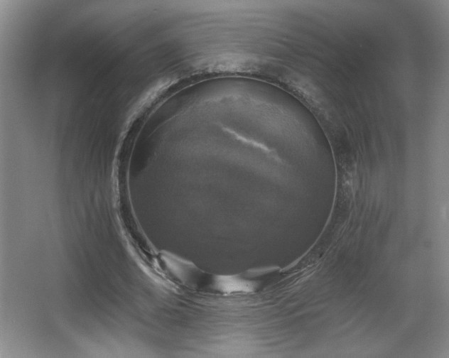 X0000068300678200604241338