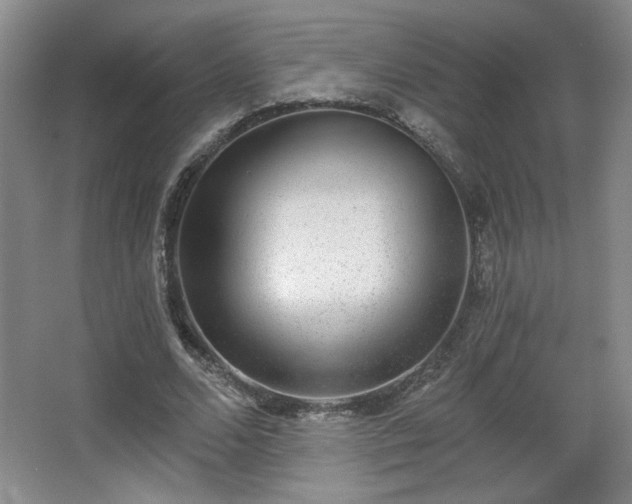 X0000068300680200604241338