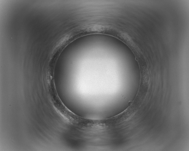 X0000068300683200604241337