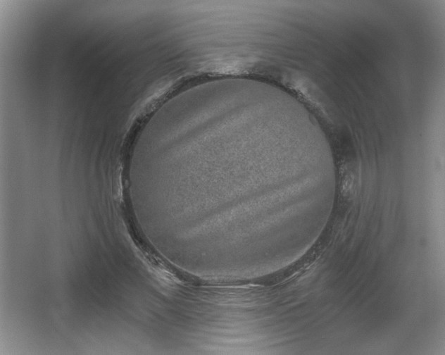X0000068300685200604241337