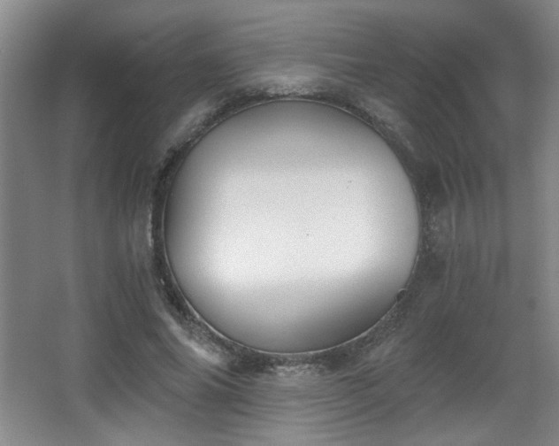 X0000068300686200604241337