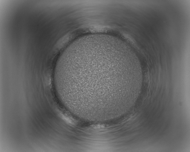 X0000068300687200604241337