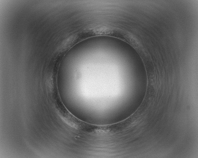 X0000068300690200604241337