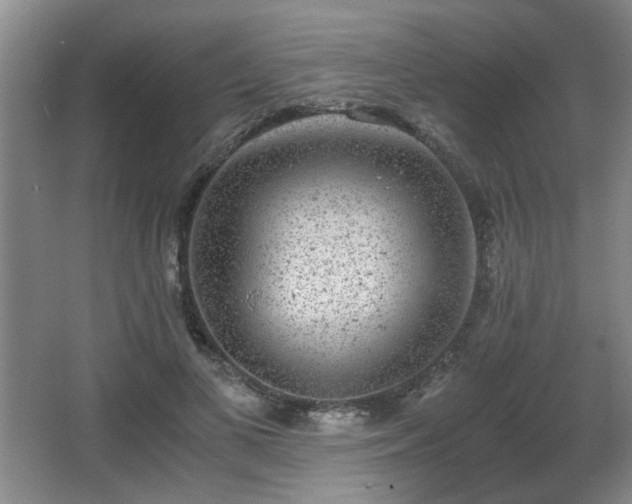 X0000068300693200604241337