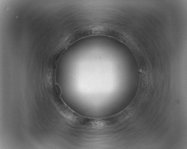 X0000068300698200604241337