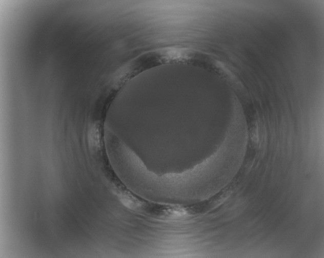 X0000068300715200604241337
