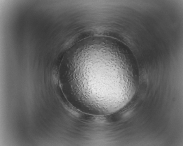 X0000068300719200604241337