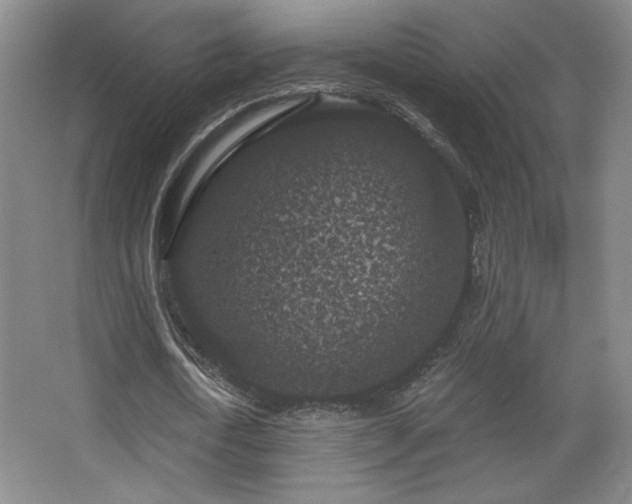 X0000068300722200604241336
