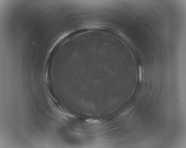 X0000068300723200604241336