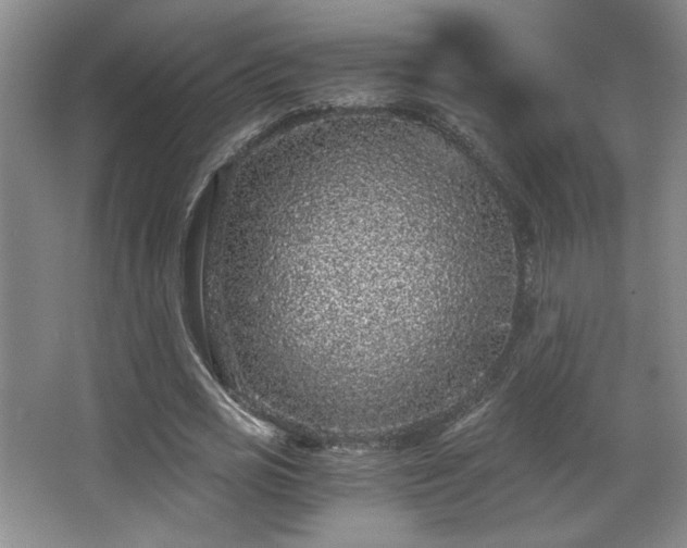 X0000068300725200604241336