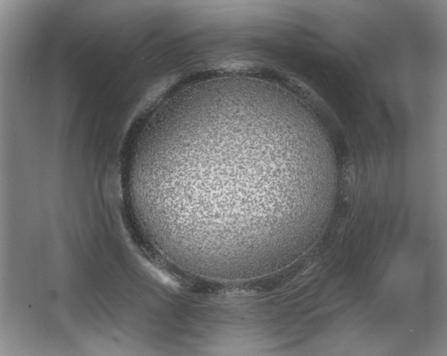 X0000068300734200604241336