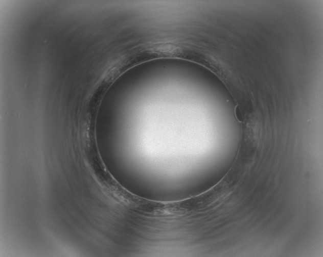 X0000068300739200604241336
