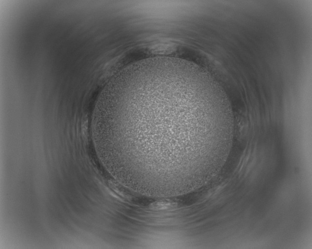 X0000068300745200604241336