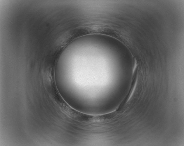X0000068300746200604241336