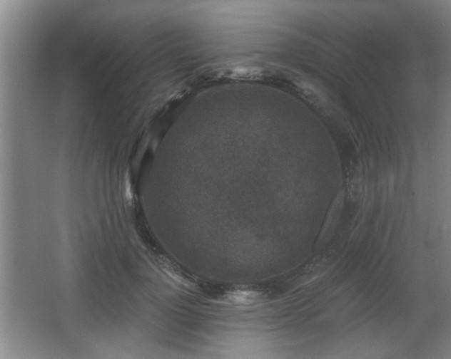 X0000068300748200604241337